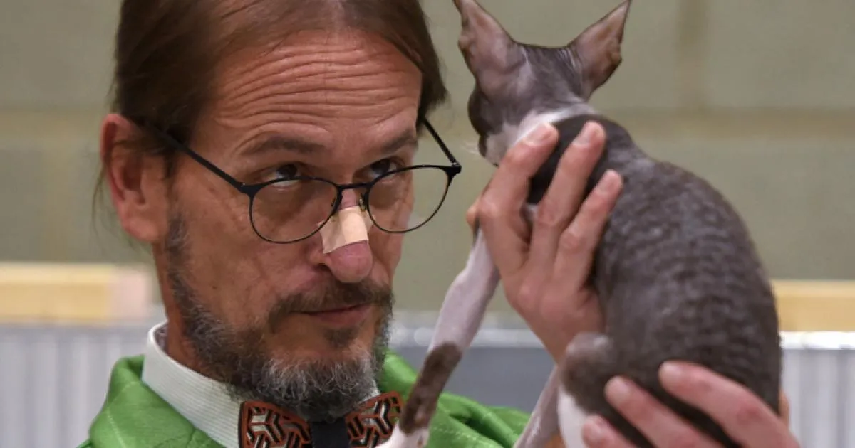 Viral feline star among attractions at Windsor’s International Cat Show