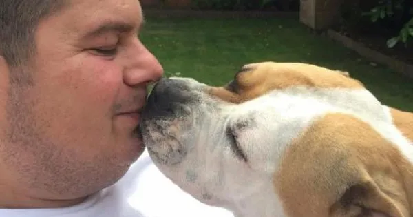 Couple in appeal to find pet dog ‘stolen’ during walk